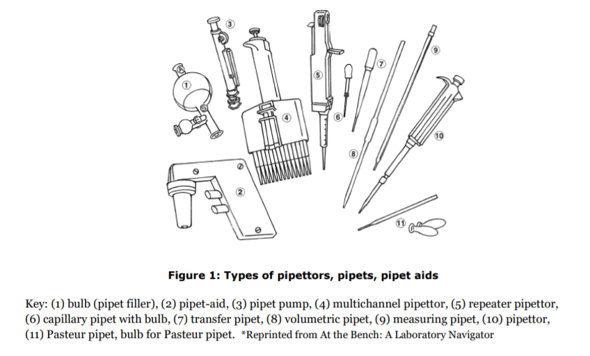 typical pipettes