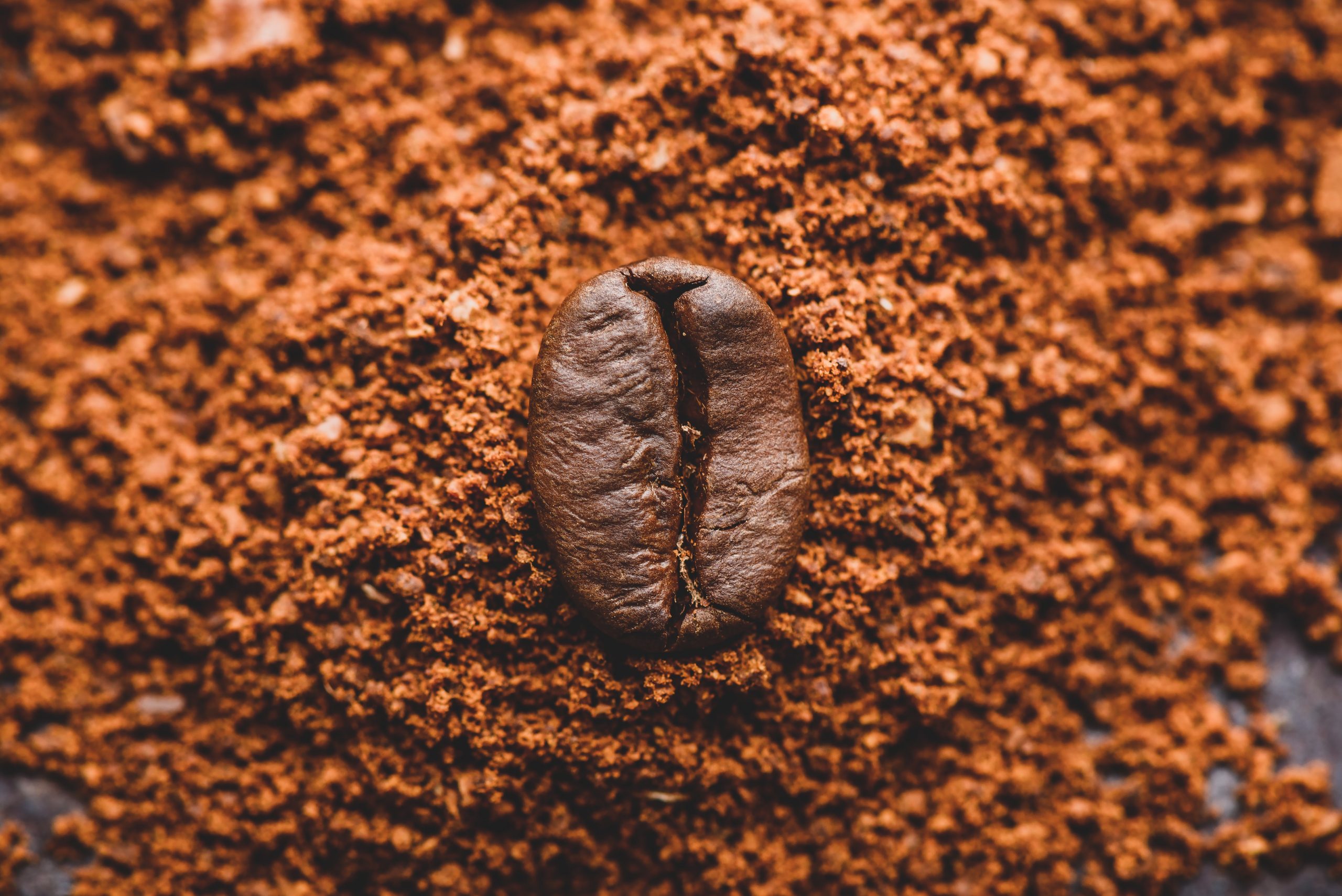 kích thước hạt cà phê - redlab