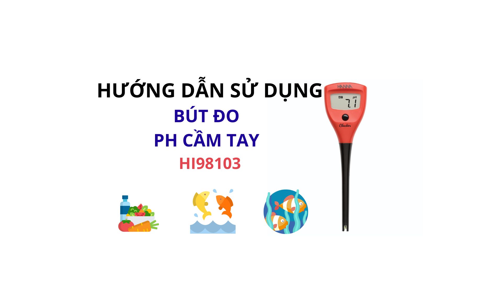 HƯỚNG DẪN SỬ DỤNG BÚT ĐO PH CẦM TAY HANNA HI98103