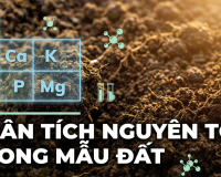 máy phân tích nguyên tố đất